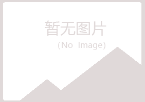 临沂兰山夏青能源有限公司